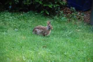 2010 05 12_0035-1.jpg