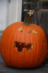 DSC_1691.jpg