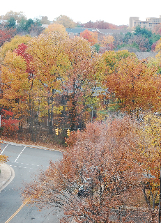 DSC_1946_edited-1.jpg