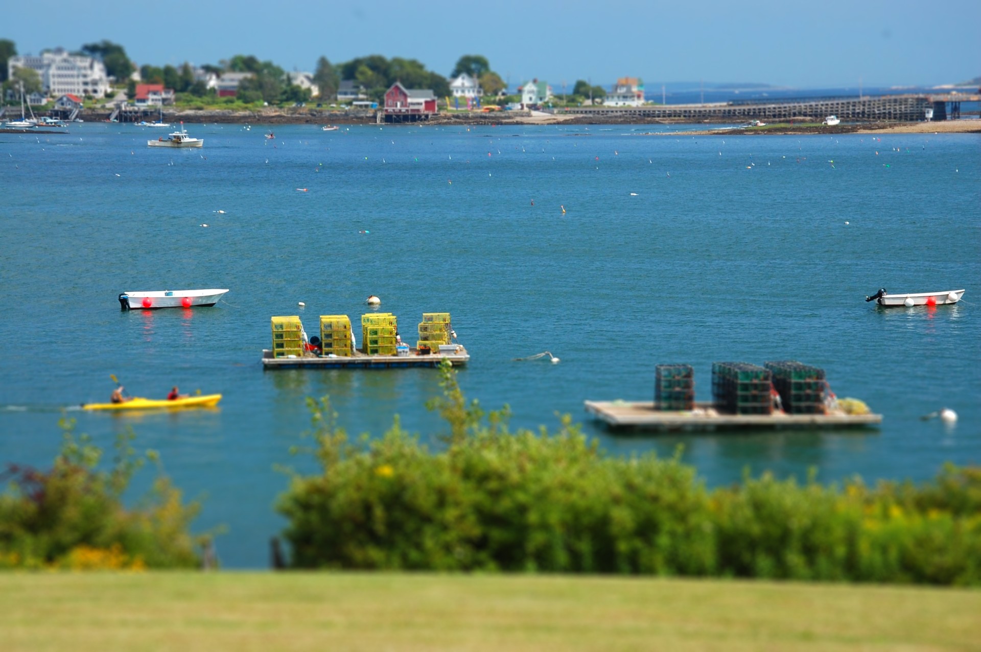 DSC_9571-tiltshift3.jpg