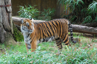 DSC_9635_edited-2.jpg