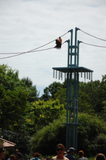 DSC_9664.jpg