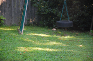 DSC_9734.jpg